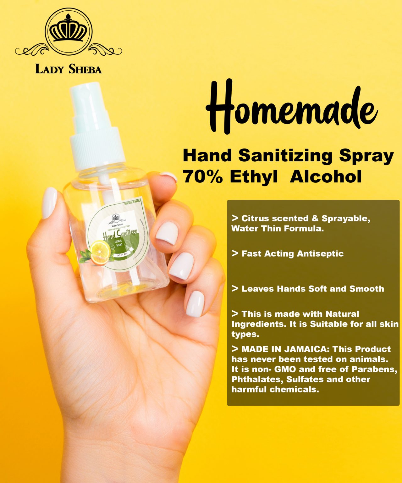 Hand Sanitizer Spray (Citrus scented) 2OZ Hub Jamaica